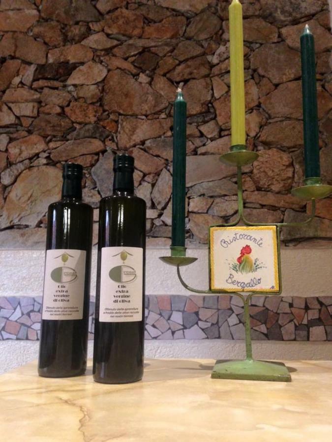 Albergo Ristorante Bergallo Tovo San Giacomo Exteriör bild